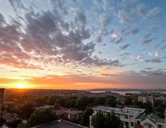 Park Regis Concierge Cremorne Sydney One Bedroom Apartment Harbour View Sunset